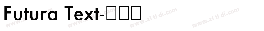 Futura Text字体转换